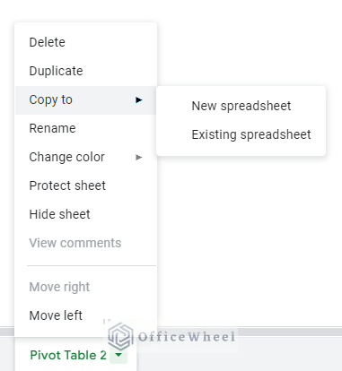 copy options for a worksheet