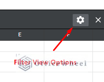 filter view options button