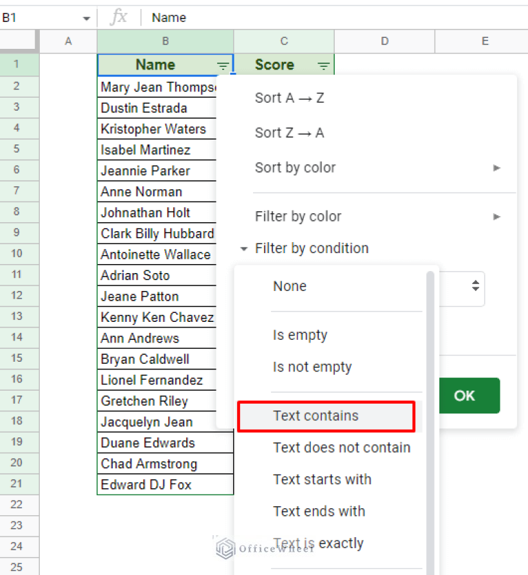 Google Sheets Filter Data if it Contains Value (A Comprehensive Guide
