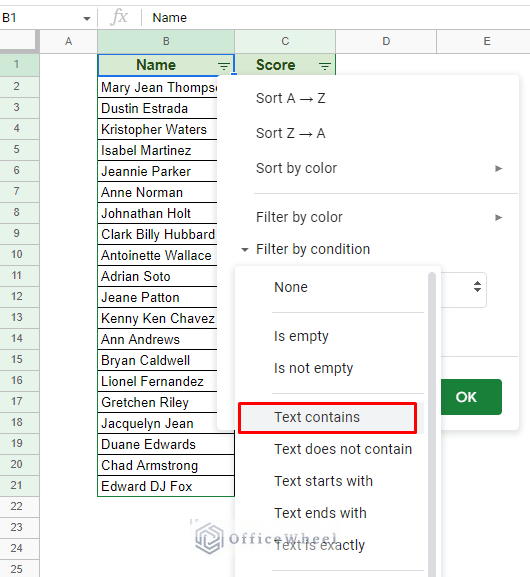 selecting the text contains option in filter menu in google sheets