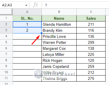 use the fill handle after selecting the first two numbers of the series