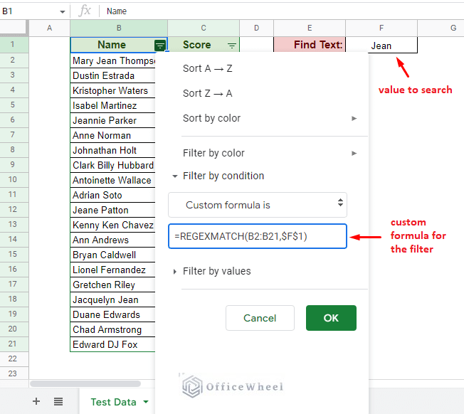 inputting the custom formula to filter in google sheets