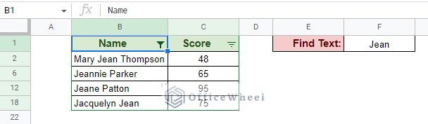 using custom formula to find if filter contains value in google sheets