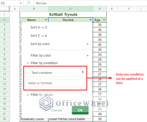 Filter Values that Contains Multiple Text Criteria in Google Sheets (2 ...