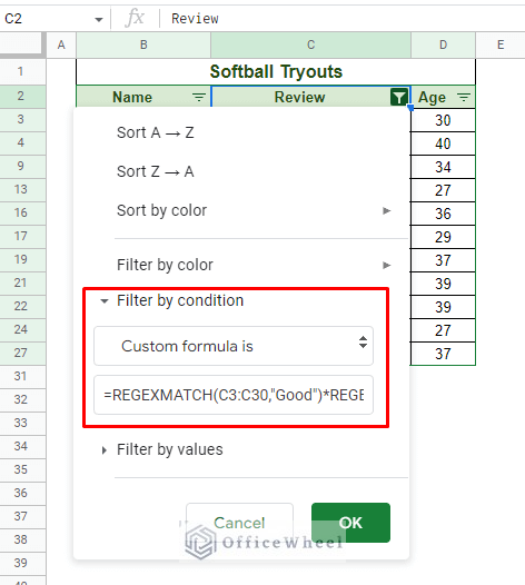 using asterisk for the and logic of the custom formula