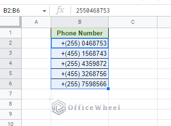 formatting phone numbers with custom number formula