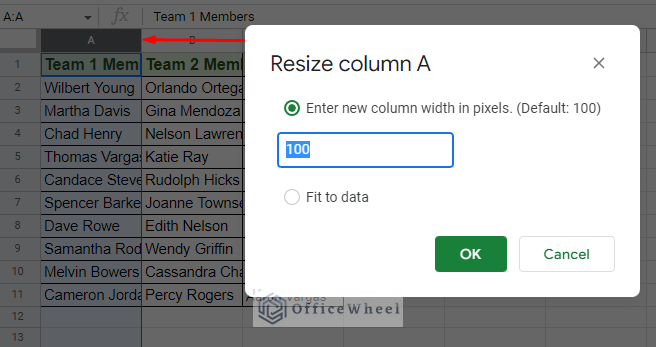 the resize column window with default value in google sheets