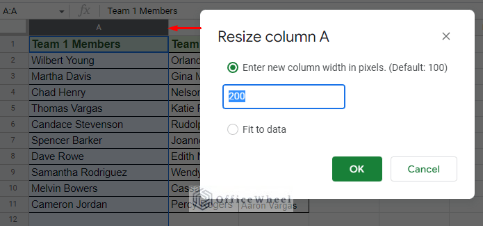changing the size of the column with by pixels