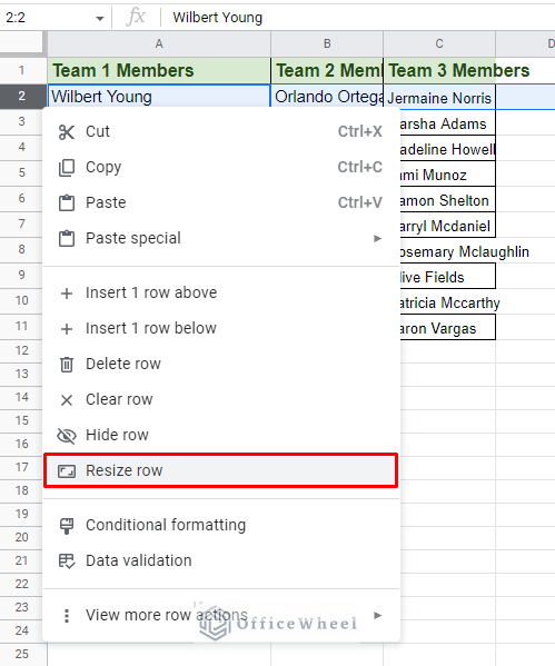 the resize row option in google sheets
