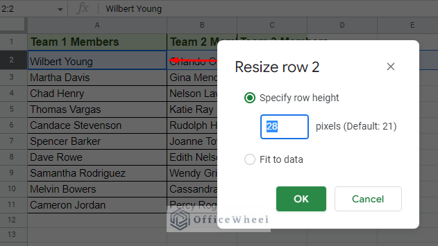 format the row cell size by manually inputting value in google sheets