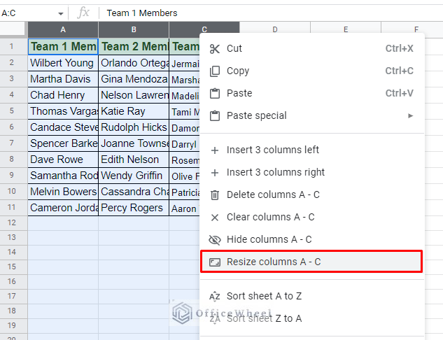 the resize column option for multiple columns in google sheets