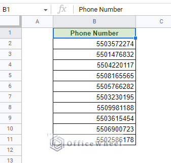 list of unformatted phone numbers