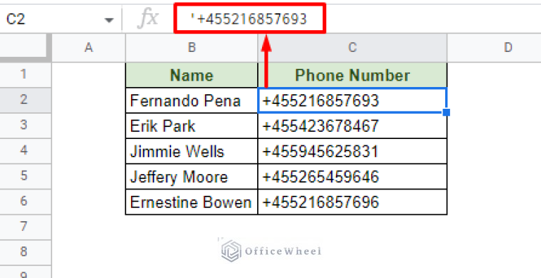 Format Cell as Text in Google Sheets (3 Simple Scenarios) - OfficeWheel