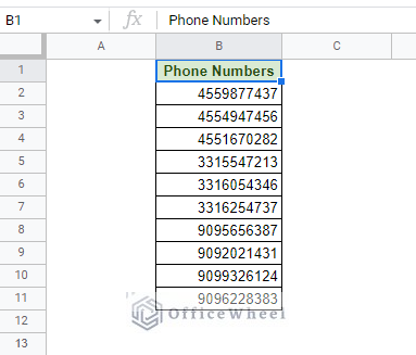 sample list of unformatted phone numbers