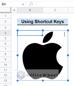 How to Copy and Paste Image in Google Sheets (5 Simple Ways)
