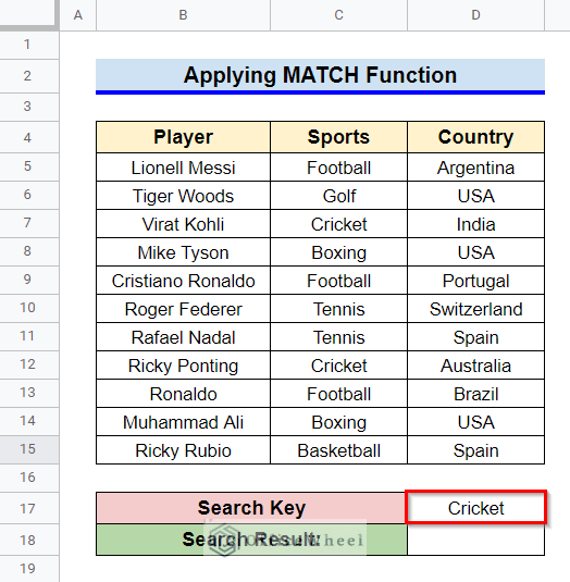 How to Apply MATCH Function to Create a Search Box in Google Sheets