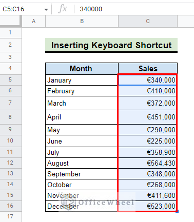 Apply Keyboard shortcut to insert euro symbol 