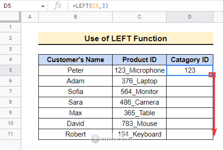 How to Use LEFT Function in Google Sheets (5 Suitable Examples)