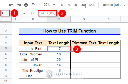 Applying Only TRIM Function