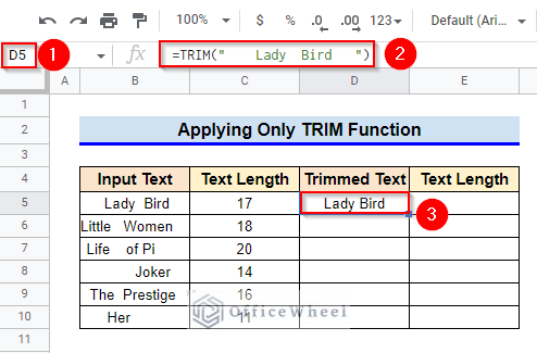 Input Direct Text Value to use TRIM function in Google Sheets