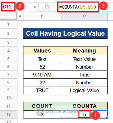Difference Between COUNT and COUNTA Functions in Google Sheets for Cell Having Logical Value
