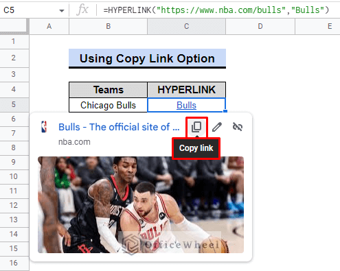 copy link option in web preview