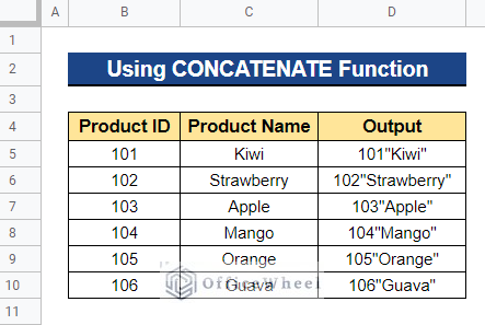 Output After Using CONCATENATE Function