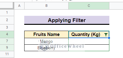 filtered data in google sheets
