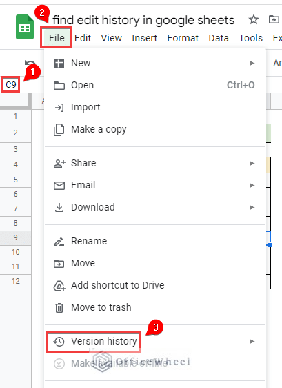 File menu to get the edit history in Google Sheets