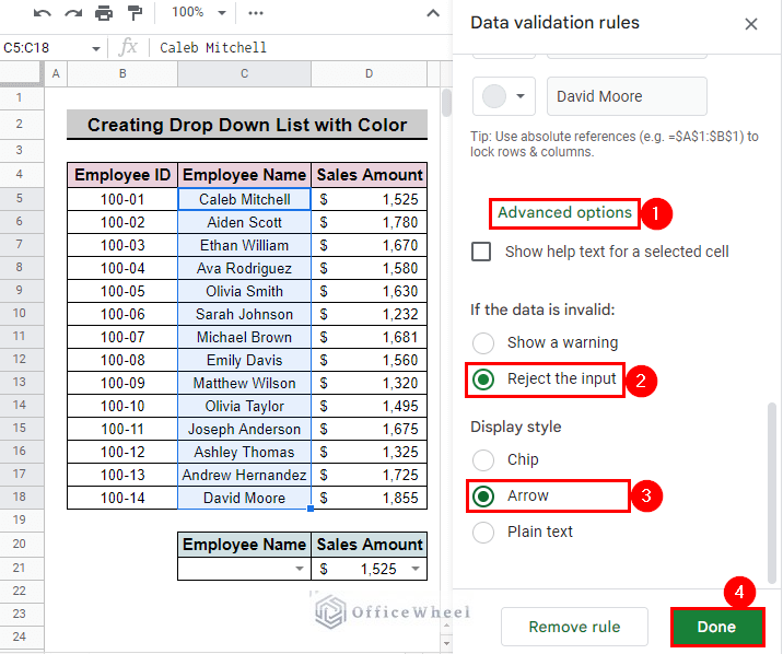 advanced options to format the drop down list