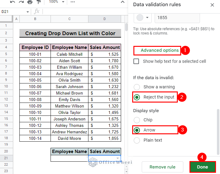 advanced options to format the drop down list