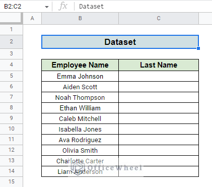 dataset used to split string into array in google sheets using split text to columns