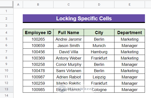 dataset for Locking Specific Cells in google sheets