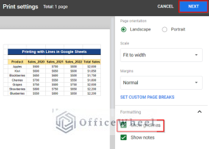 How to Print Bigger in Google Sheets (2 Simple Examples)