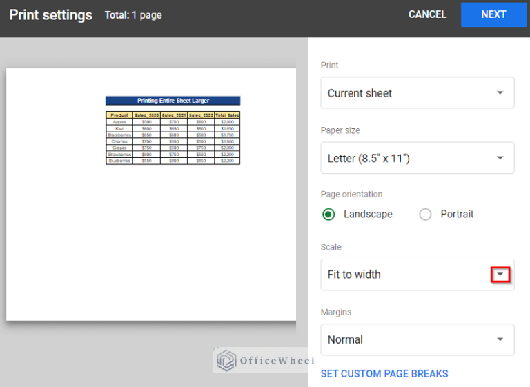 How to Print Bigger in Google Sheets (2 Simple Examples)