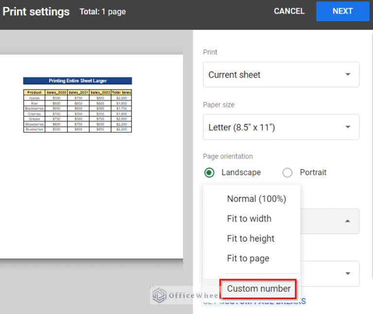 How to Print Bigger in Google Sheets (2 Simple Examples)