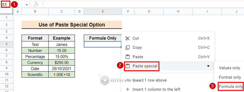 Selecting options to paste formula only