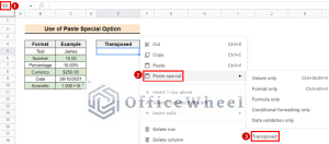 How to Use Paste Special Shortcut in Google Sheets (2 Examples)