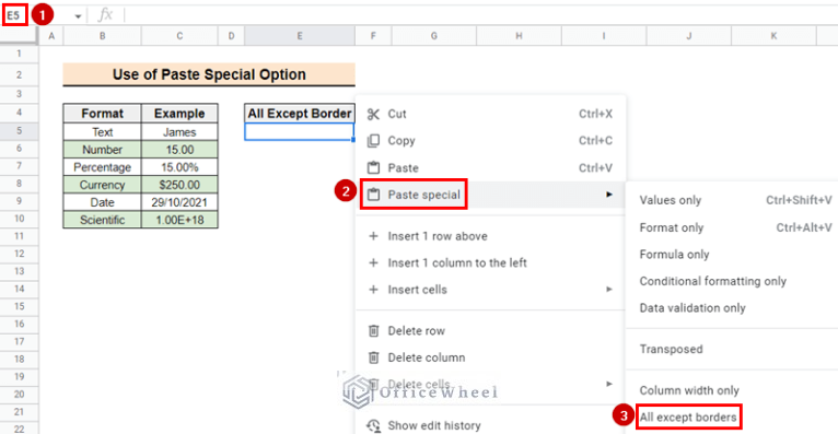 How to Use Paste Special Shortcut in Google Sheets (2 Examples)