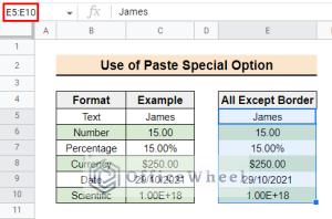 How to Use Paste Special Shortcut in Google Sheets (2 Examples)