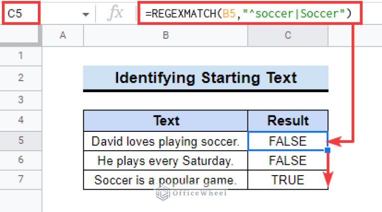 How to Use REGEXMATCH Function in Google Sheets