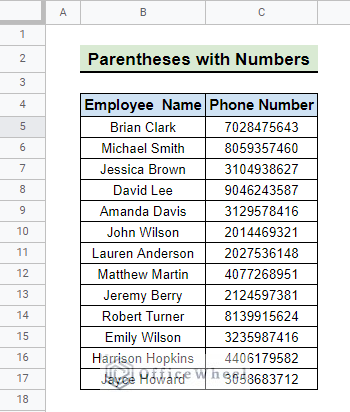 dataset for adding parentheses with numbers in google sheets